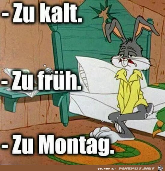 zu kalt.....