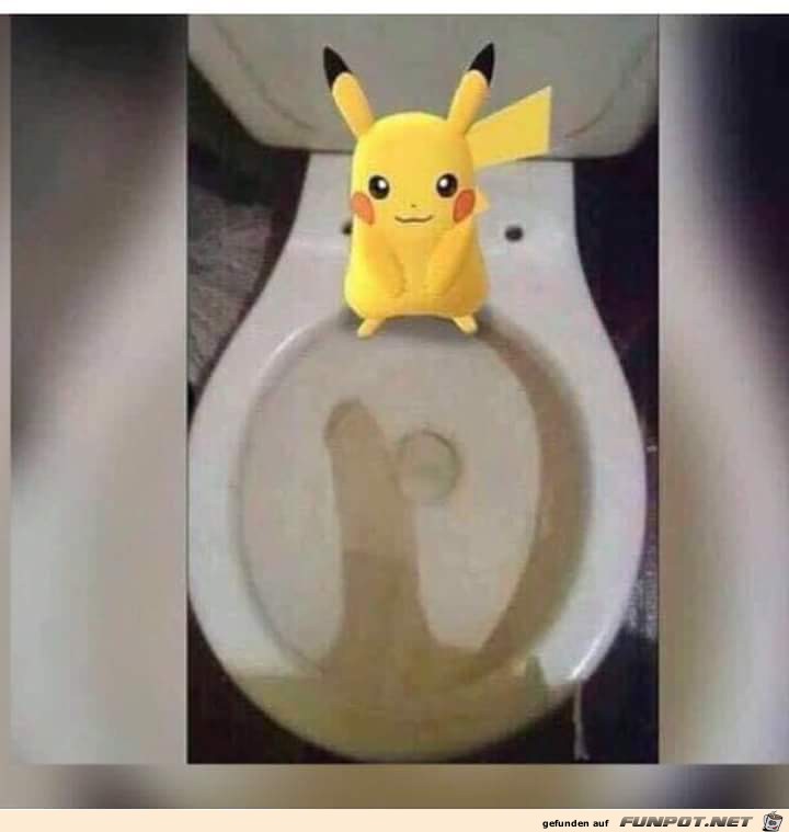 Habe einen Pokemon gefunden