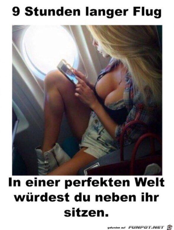 Die perfekte Welt