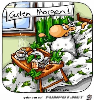 Guten Morgen