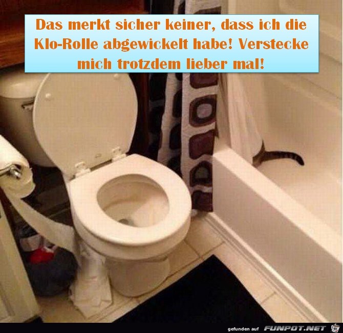 witzige Bilder aus verschiedenen Blogs