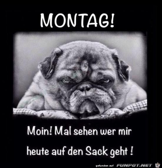 Montag