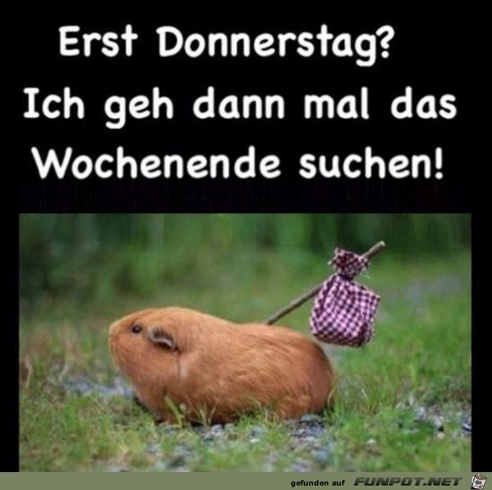 erst Donnerstag