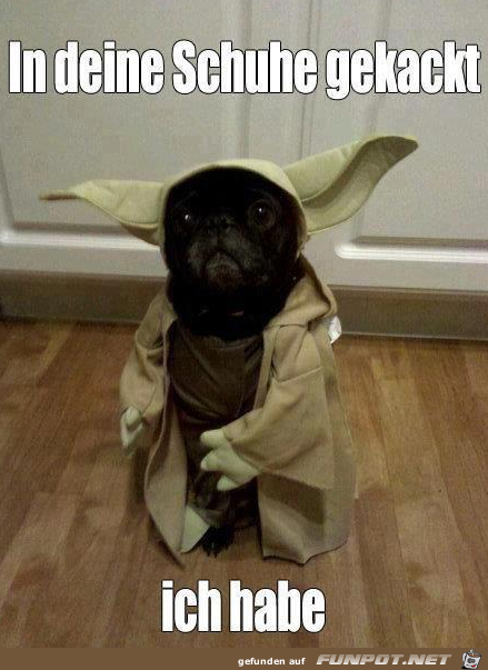 Bser Yoda