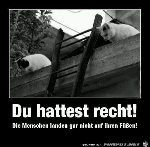 Du hattest recht