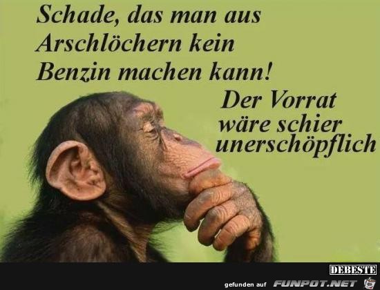 Schade, das man aus.......