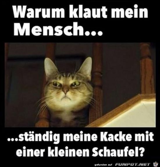 Schwere Detektivarbeit Schwere Detektivarbeit