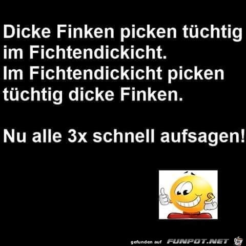 Dicke Finken...3 x schnell sagen Dicke Finken...3 x schnell sagen