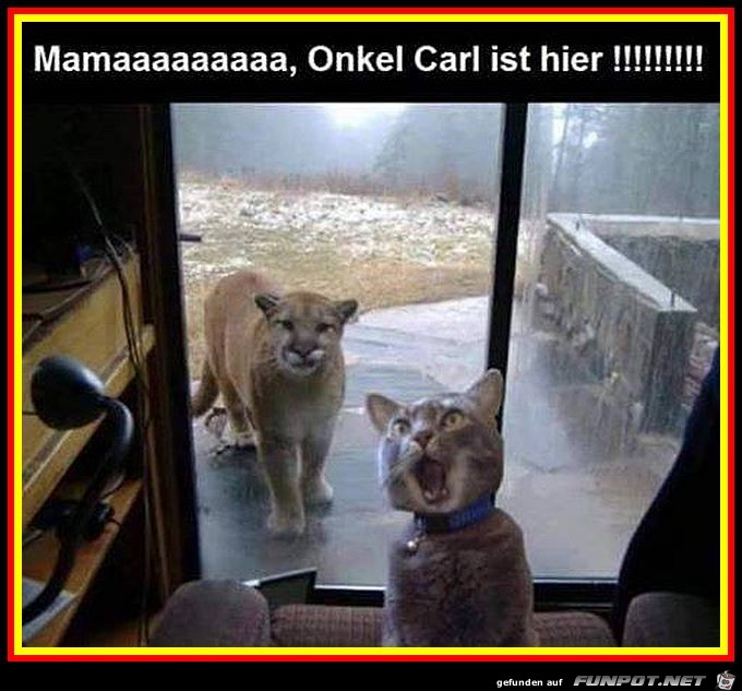 Onkel Carl ist da Onkel Carl ist da