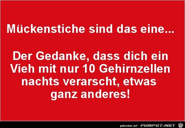 Mückenstiche....... Mückenstiche.......