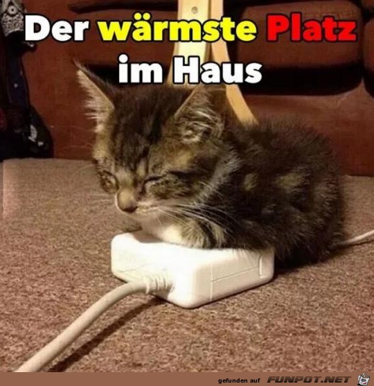 Schön warm Schön warm