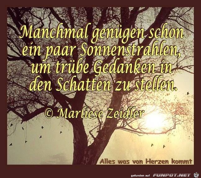 Manchmal genuegen schon ein paar Sonnenstrahlen Manchmal genuegen schon ein paar Sonnenstrahlen
