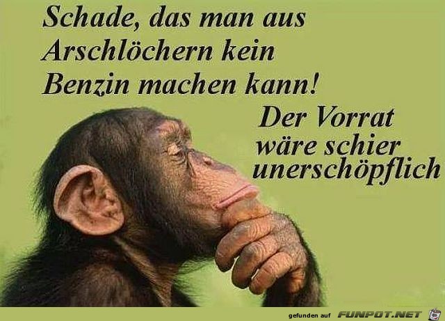 Schade Schade