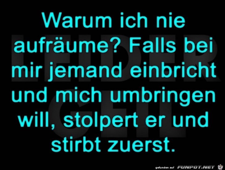 Warum ich nie aufraeume Warum ich nie aufraeume