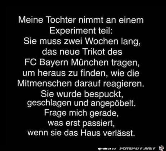 das Experiment...... das Experiment......