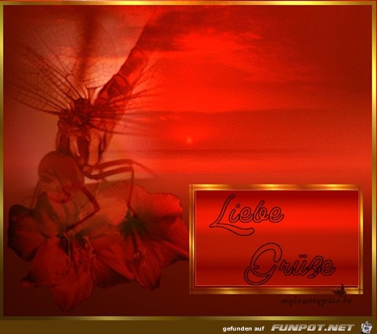 liebe gruesse 83 liebe gruesse 83