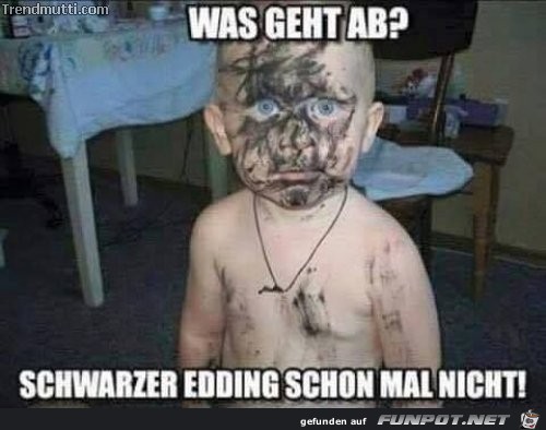 witzige Bilder aus verschiedenen Blogs