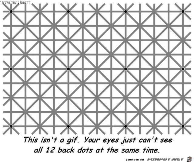 deine Augen können nicht alle 12 Punkte auf einmal erfassen deine Augen können nicht alle 12 Punkte auf einmal erfassen