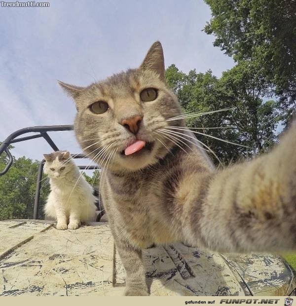bestes Selfie ever!