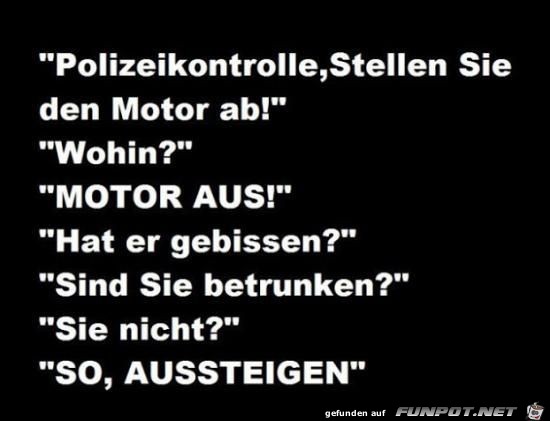 Polizeikontrolle