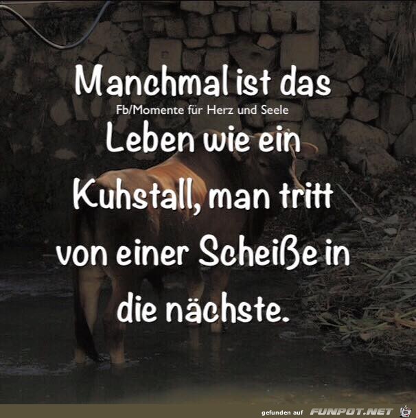 Manchmal ist das Leben