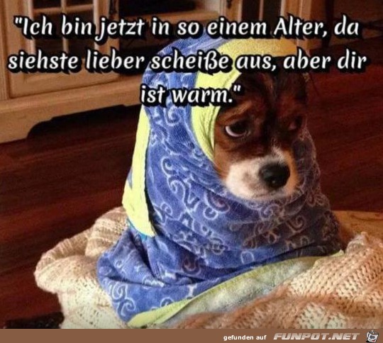 Das Alter Das Alter