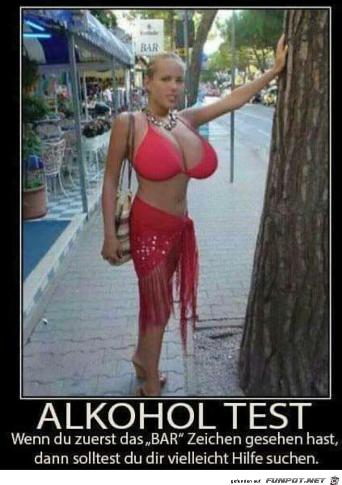 Alkohol Test