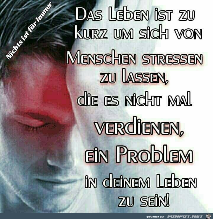 Das Leben ist zu kurz Das Leben ist zu kurz