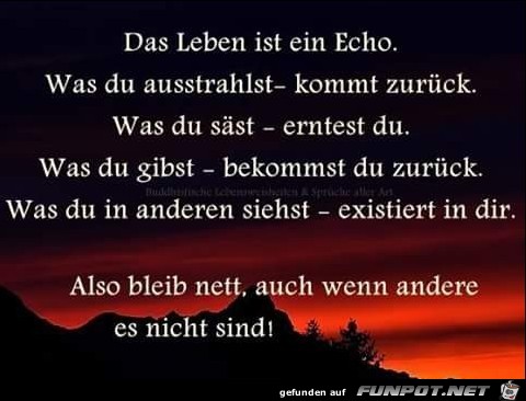 Das Leben ist ein Echo