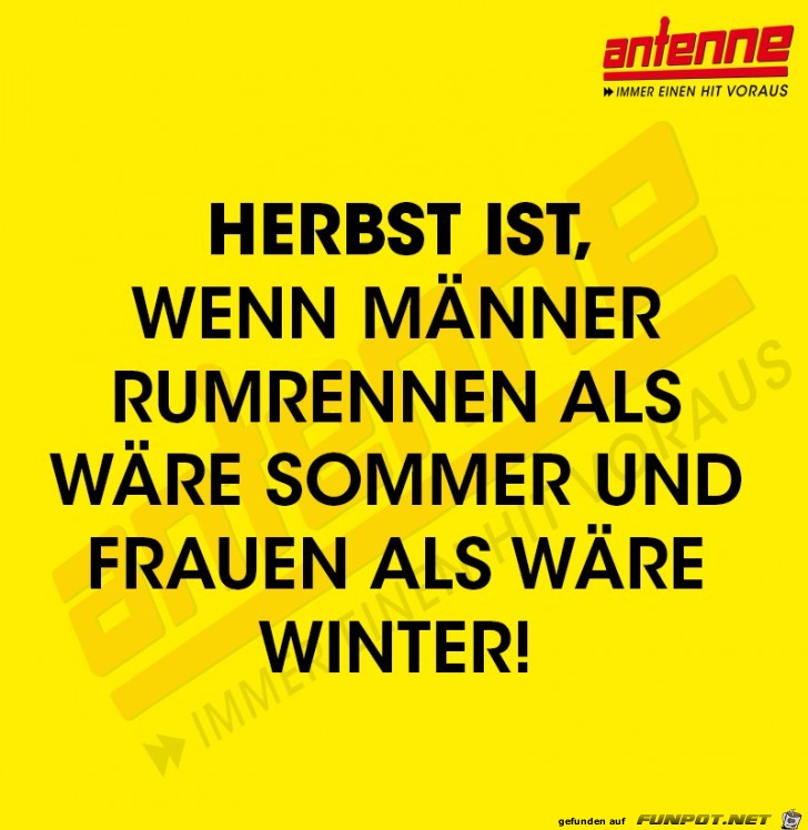 Herbst ist Herbst ist