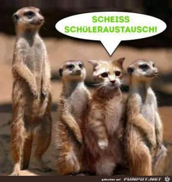 scheiss schüleraustausch..... scheiss schüleraustausch.....