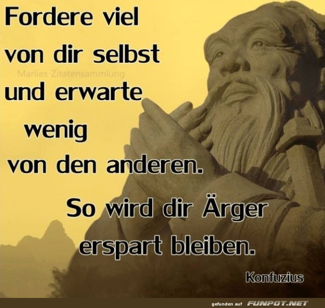 10 sch�ne Spr�che und Lebensweisheiten aus...