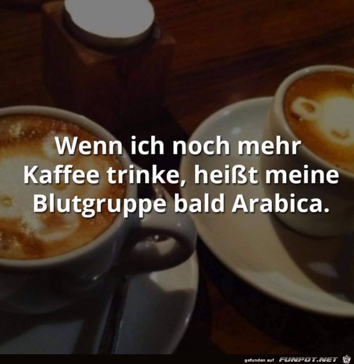 Blutgruppe Arabica