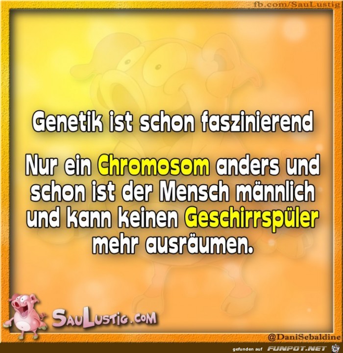 Genetik-ist-schon-faszinierend