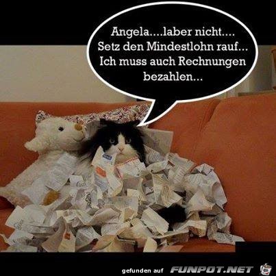 Laber nicht Laber nicht