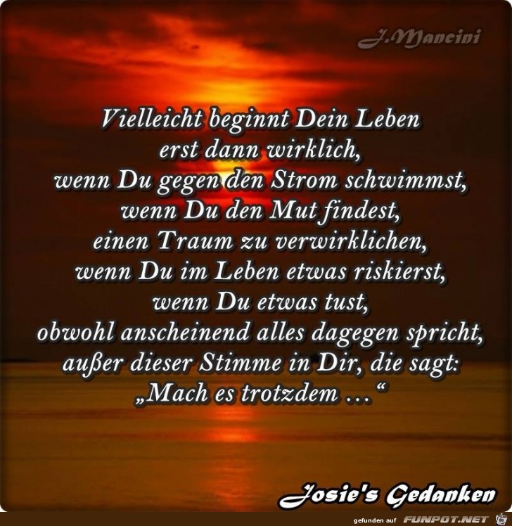 Vieleicht beginnt dein Leben Vieleicht beginnt dein Leben