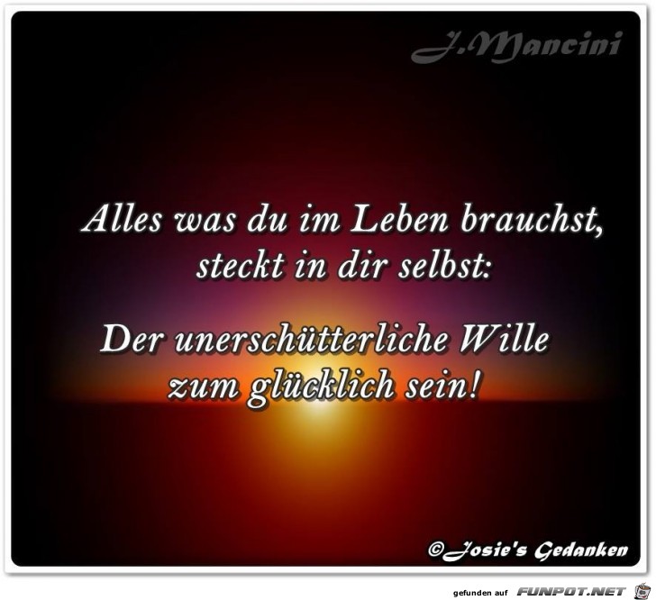 Alles was du im Leben brauchst Alles was du im Leben brauchst