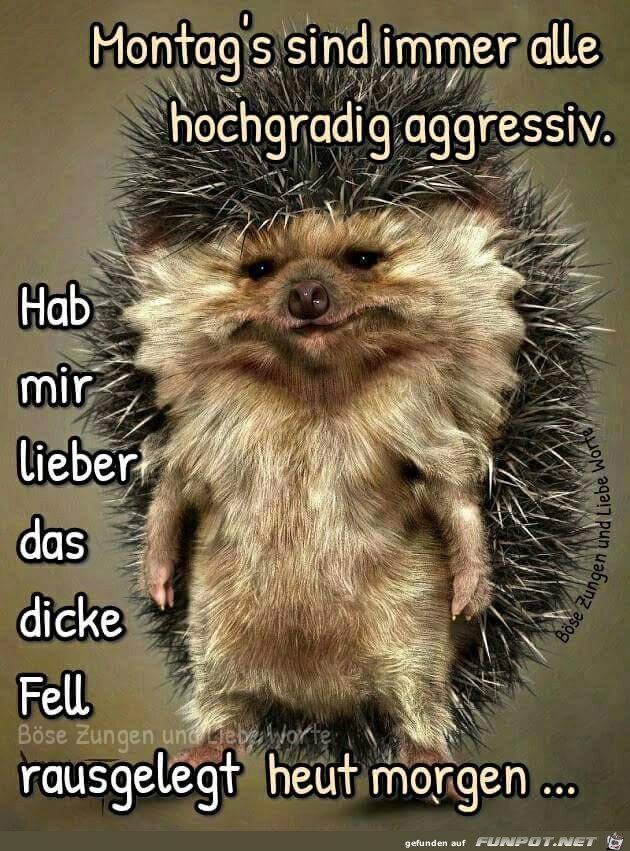 Montag Montag