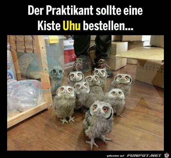 uhu uhu