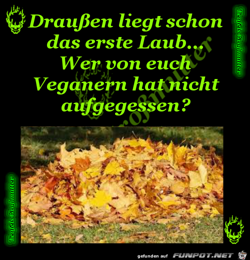 Draussen liegt schon das erste Laub Draussen liegt schon das erste Laub