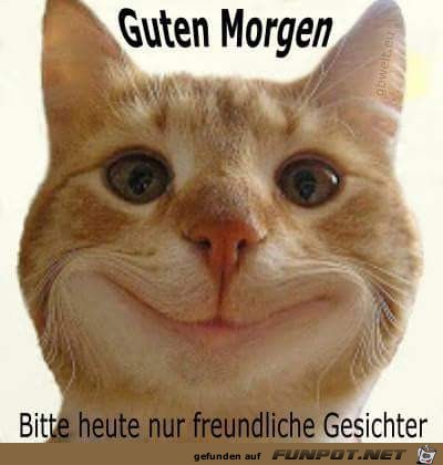 Guten morgen