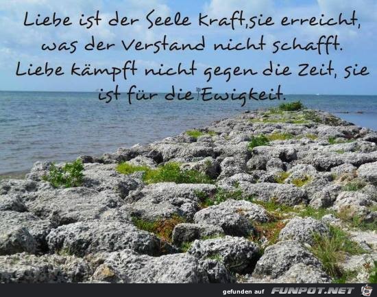 Liebe ist der Seele Kraft