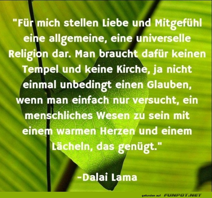 10 sch�ne Spr�che und Lebensweisheiten aus...