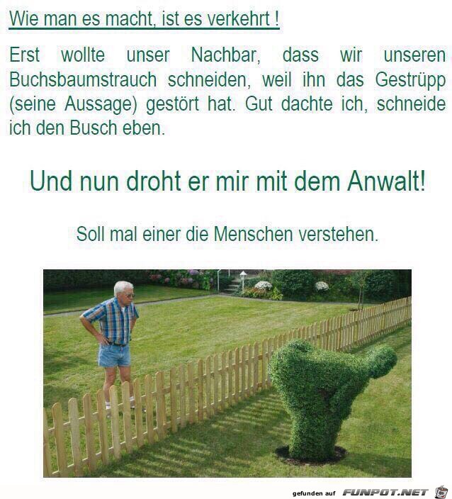Busch-Kunst Busch-Kunst