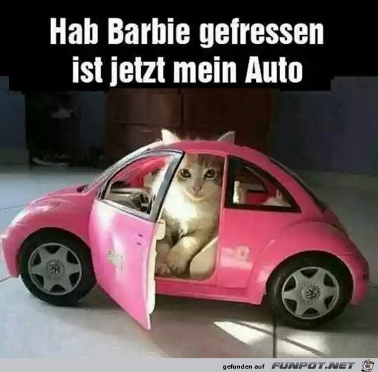 Mein Auto