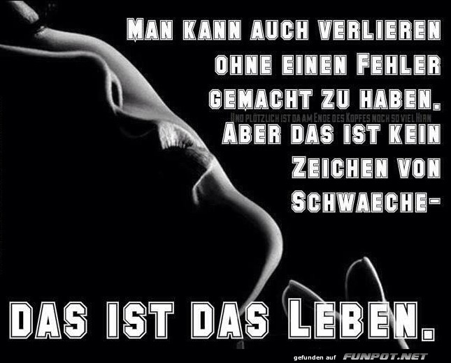 10 sch�ne Spr�che und Lebensweisheiten aus...