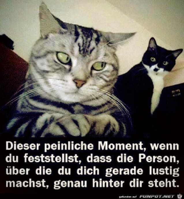 peinlich peinlich