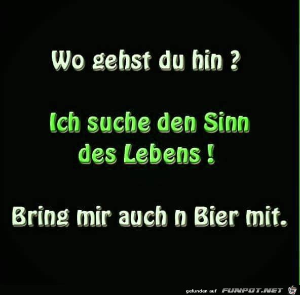 Sinn des Lebens Sinn des Lebens