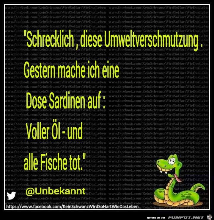 Schrecklich Schrecklich