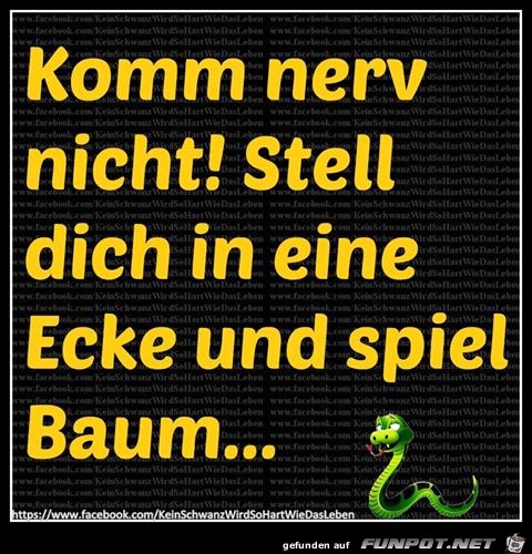 Komm nerv nicht Komm nerv nicht